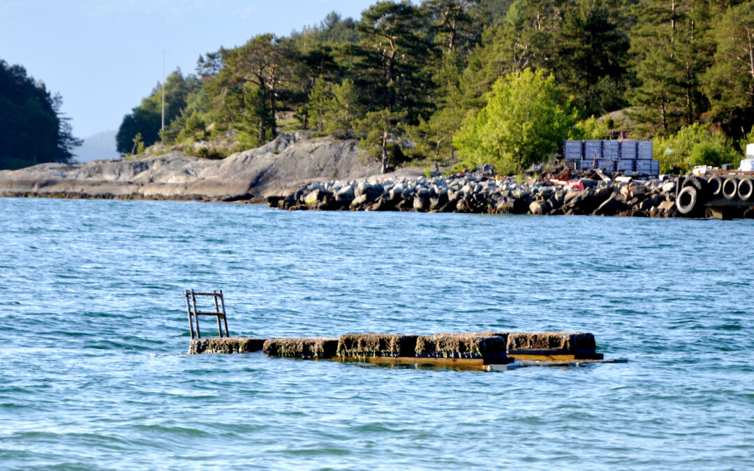 Opp ned i Borvika