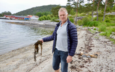 Klart for ny badesesong i Borvika